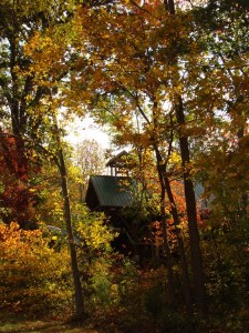 Bell Tower in the Fall 