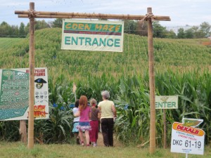 Entering Maze