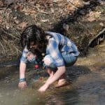 Stream