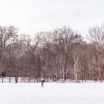 Field Snow