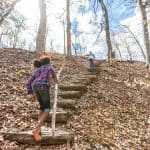 Woods Staircase 