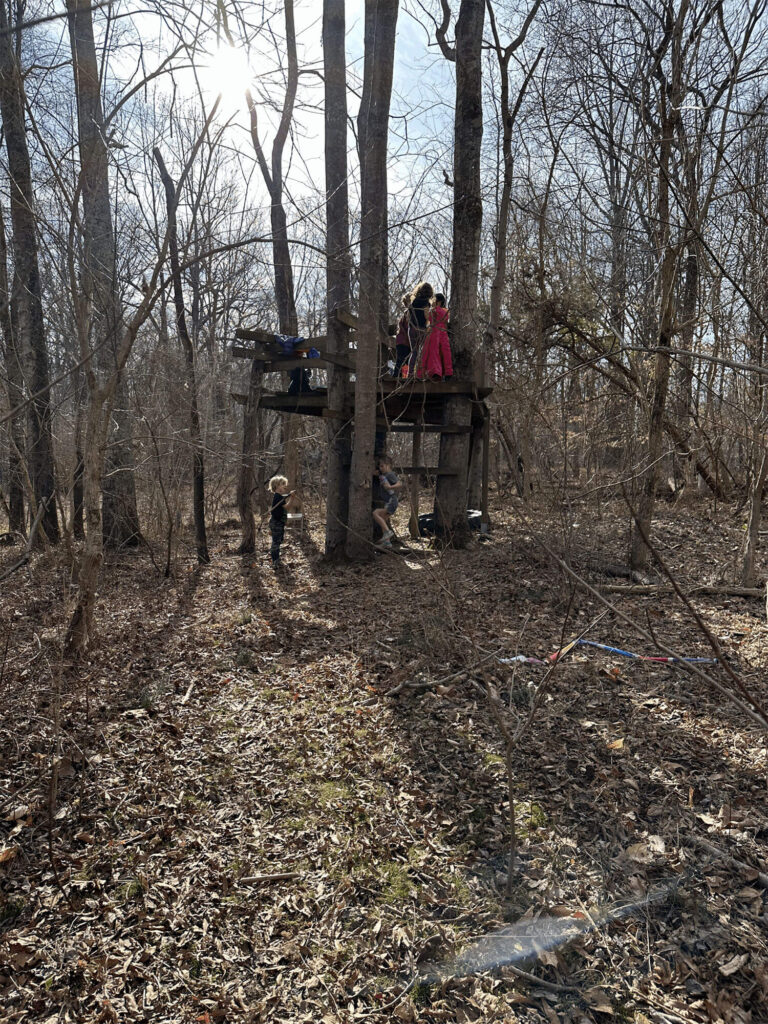 fairhaven-school-gallery-13